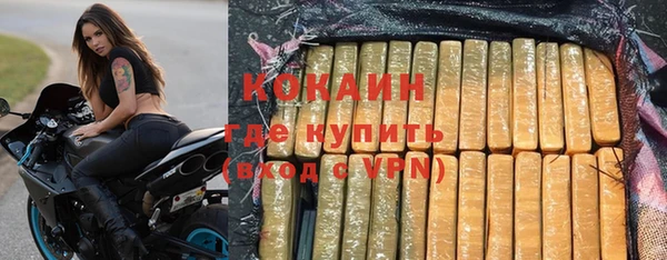 прущие грибы Белоозёрский