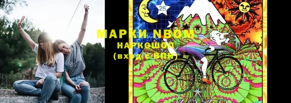 прущие грибы Белоозёрский
