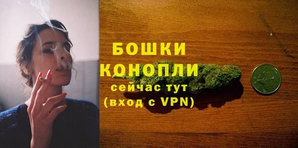 прущие грибы Белоозёрский