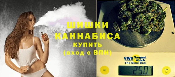 прущие грибы Белоозёрский