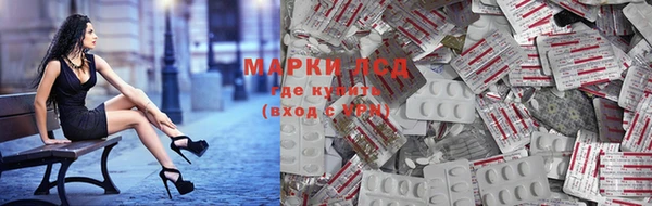 прущие грибы Белоозёрский