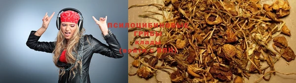 трава Беломорск