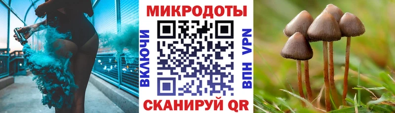 Галлюциногенные грибы Psilocybine cubensis  Купить где  Грязи 